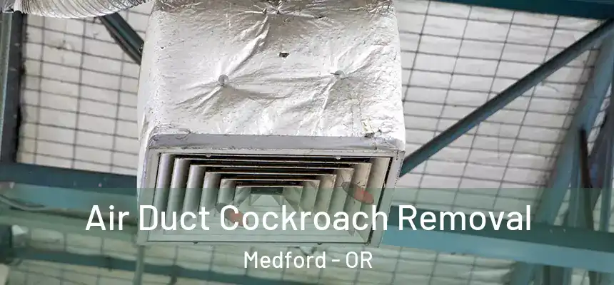 Air Duct Cockroach Removal Medford - OR
