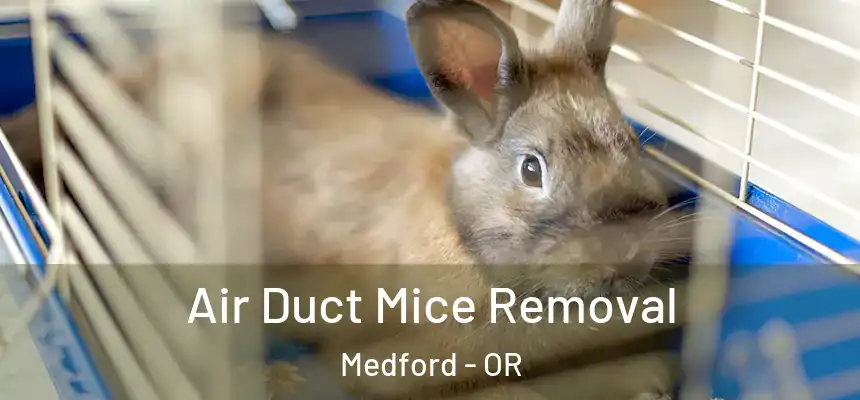 Air Duct Mice Removal Medford - OR