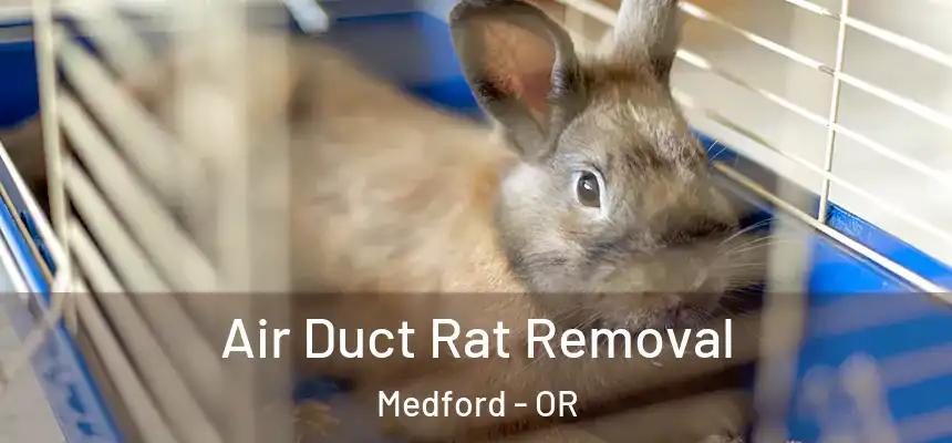 Air Duct Rat Removal Medford - OR