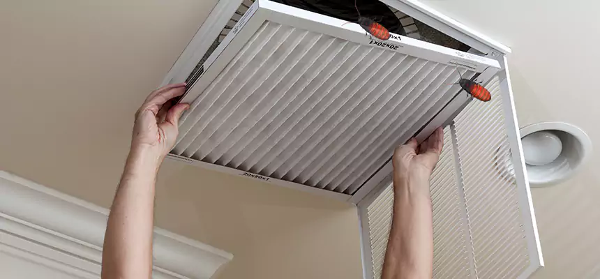 Preventive Cockroach-Proofing for Ducts in Medford