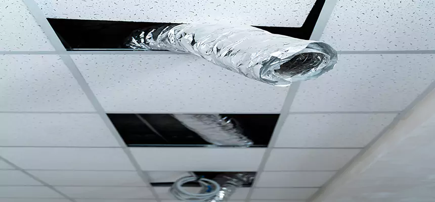 Affordable HVAC Sanitizing After Pest Removal in Medford