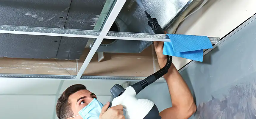 Our Air Duct Rodent Removal Services in Medford, OR