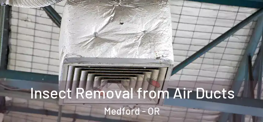 Insect Removal from Air Ducts Medford - OR