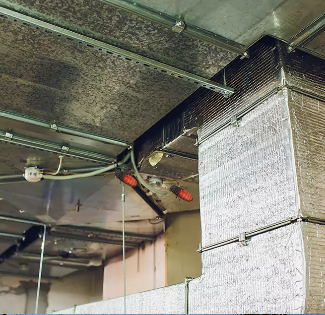 Why Homeowners & Businesses Trust Us in Medford, OR?