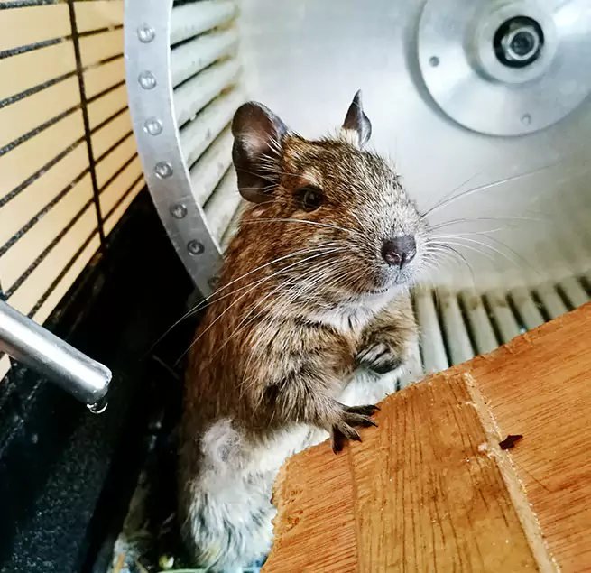 Why Homeowners & Businesses Trust Us Medford, OR