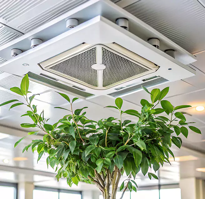 Why Homeowners & Businesses Trust Us in Medford, OR?